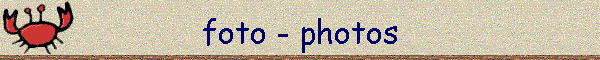 foto - photos